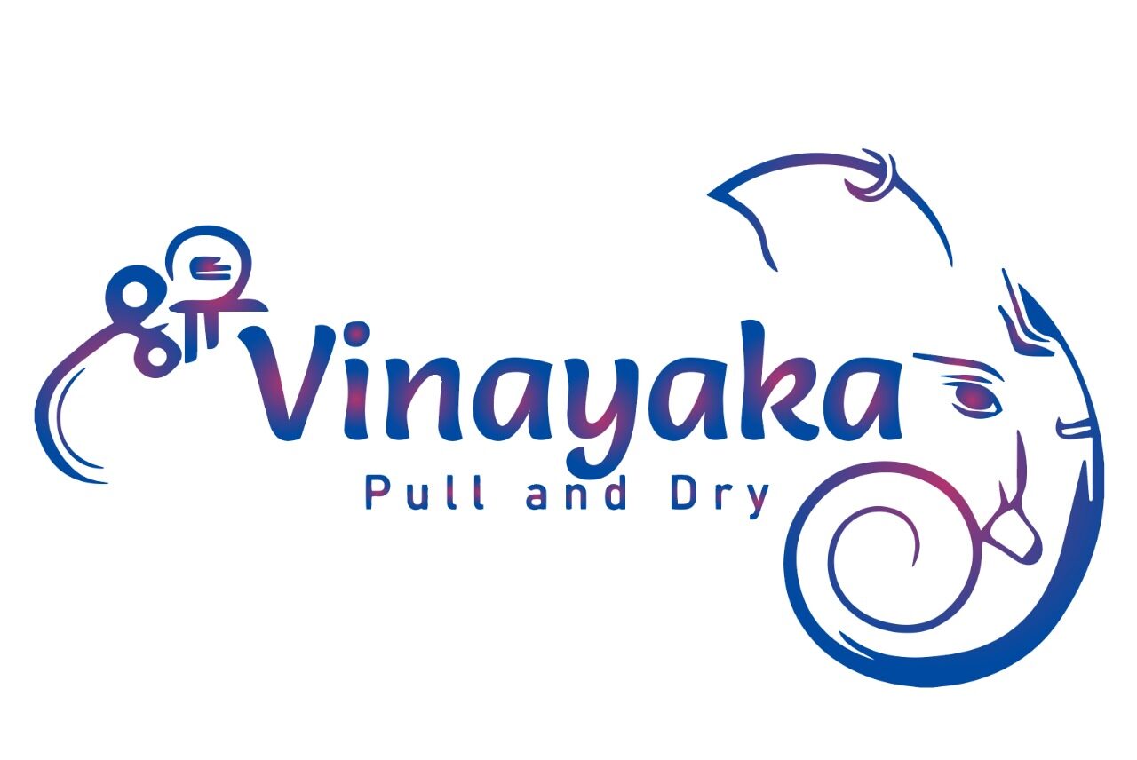 shrivinayakapullanddry.in